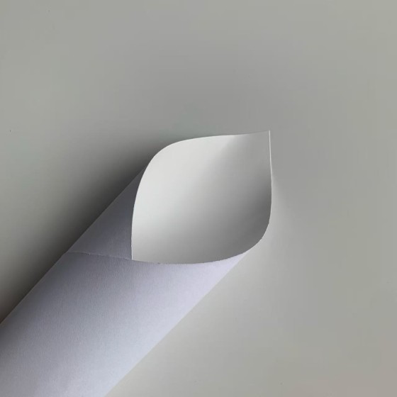 Monomeric Self Adhesive Vinyl